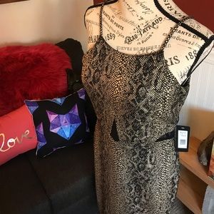 *NWT* BEBE Snakeskin Pencil Dress